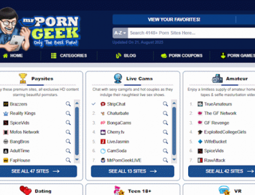 Mr. Porn Geek